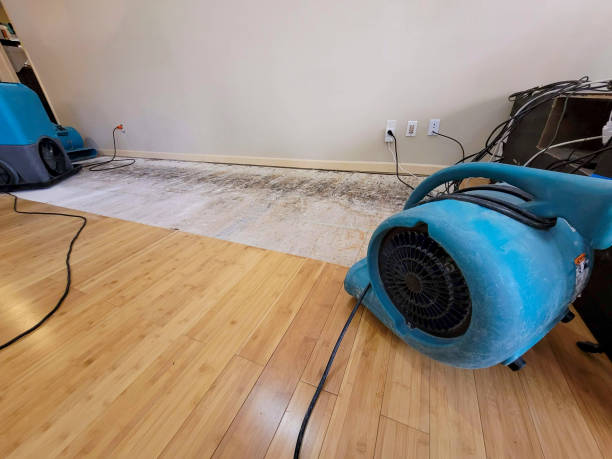 Professional Sewage Cleanup technician working in Etowah, NC